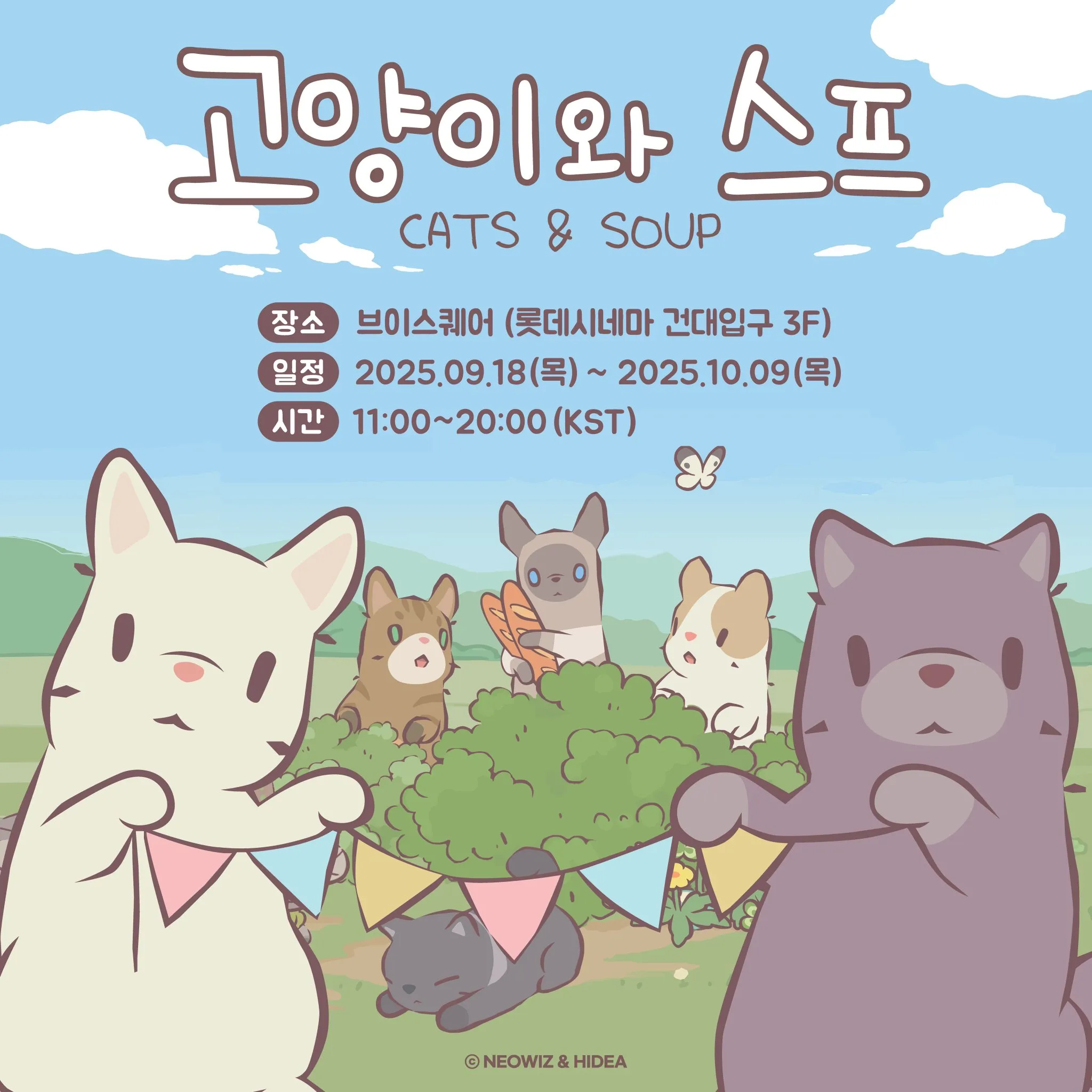 CAT & SOUP POPUP