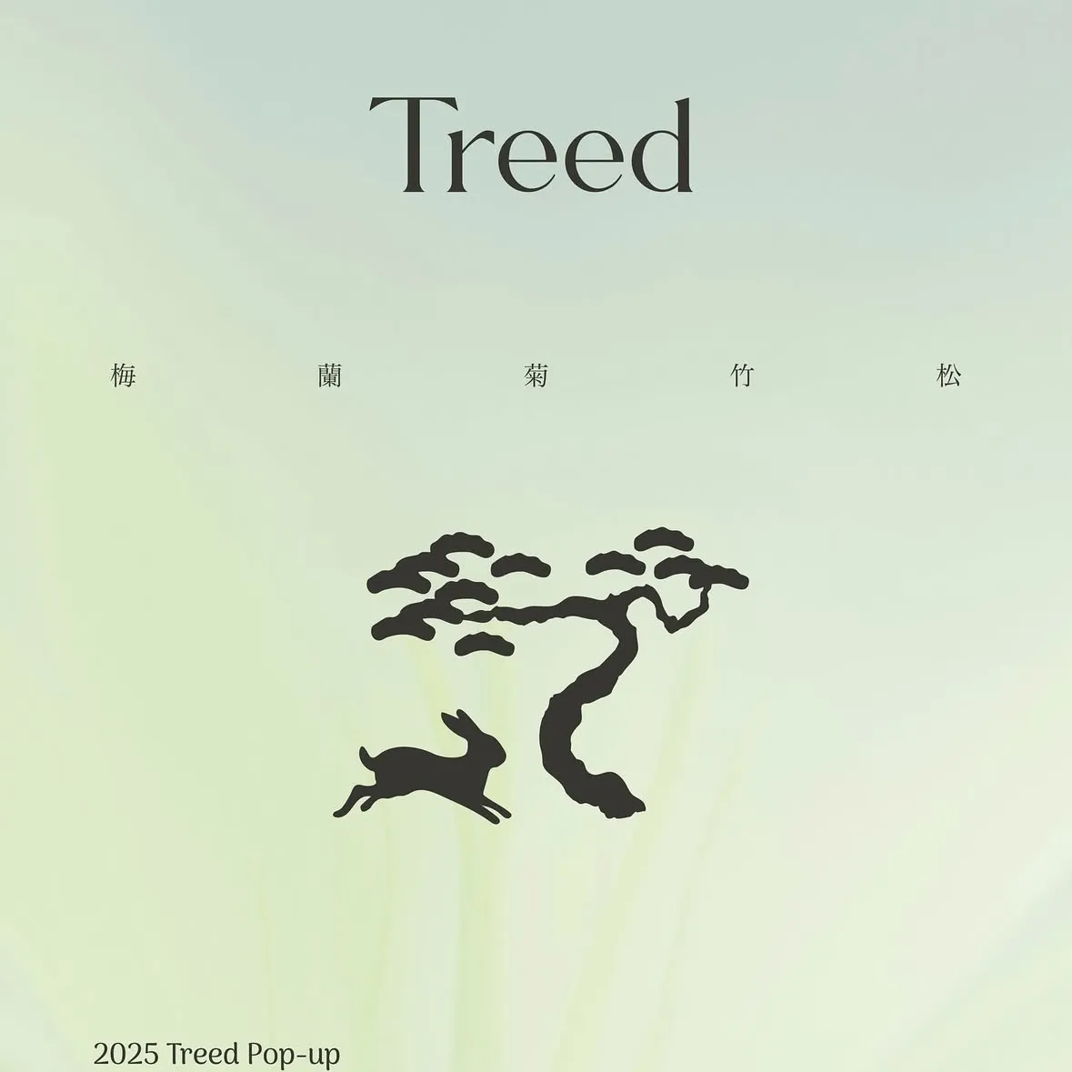 Treed POPUP -ヨンサン