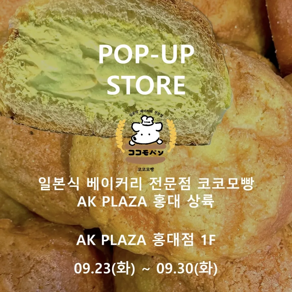 ココモパンPOPUP