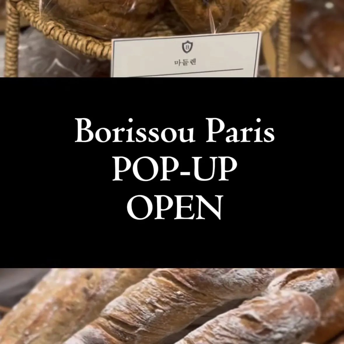 BORISSOU PARIS POPUP