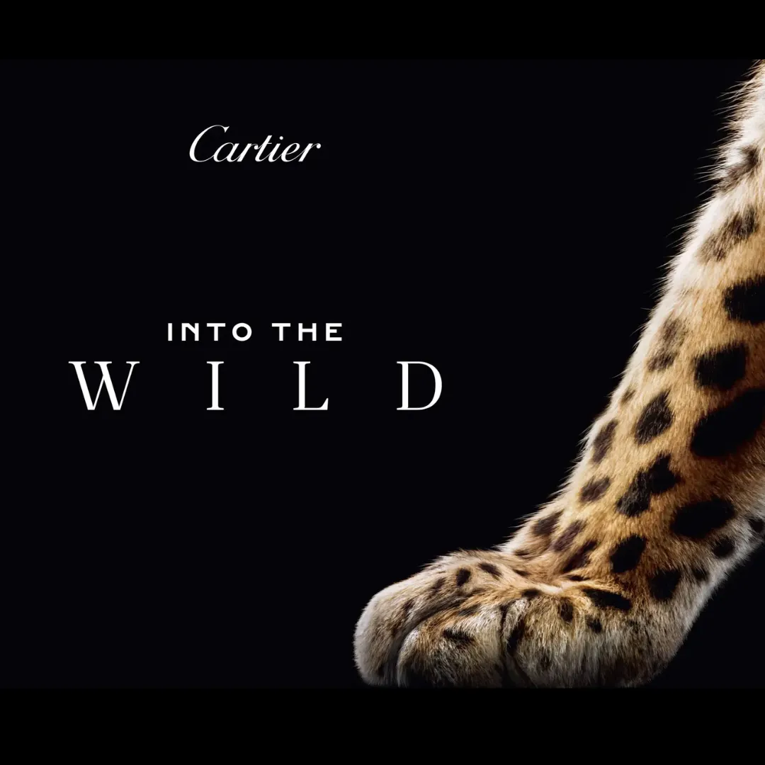 Cartier「INTO THE WILD」