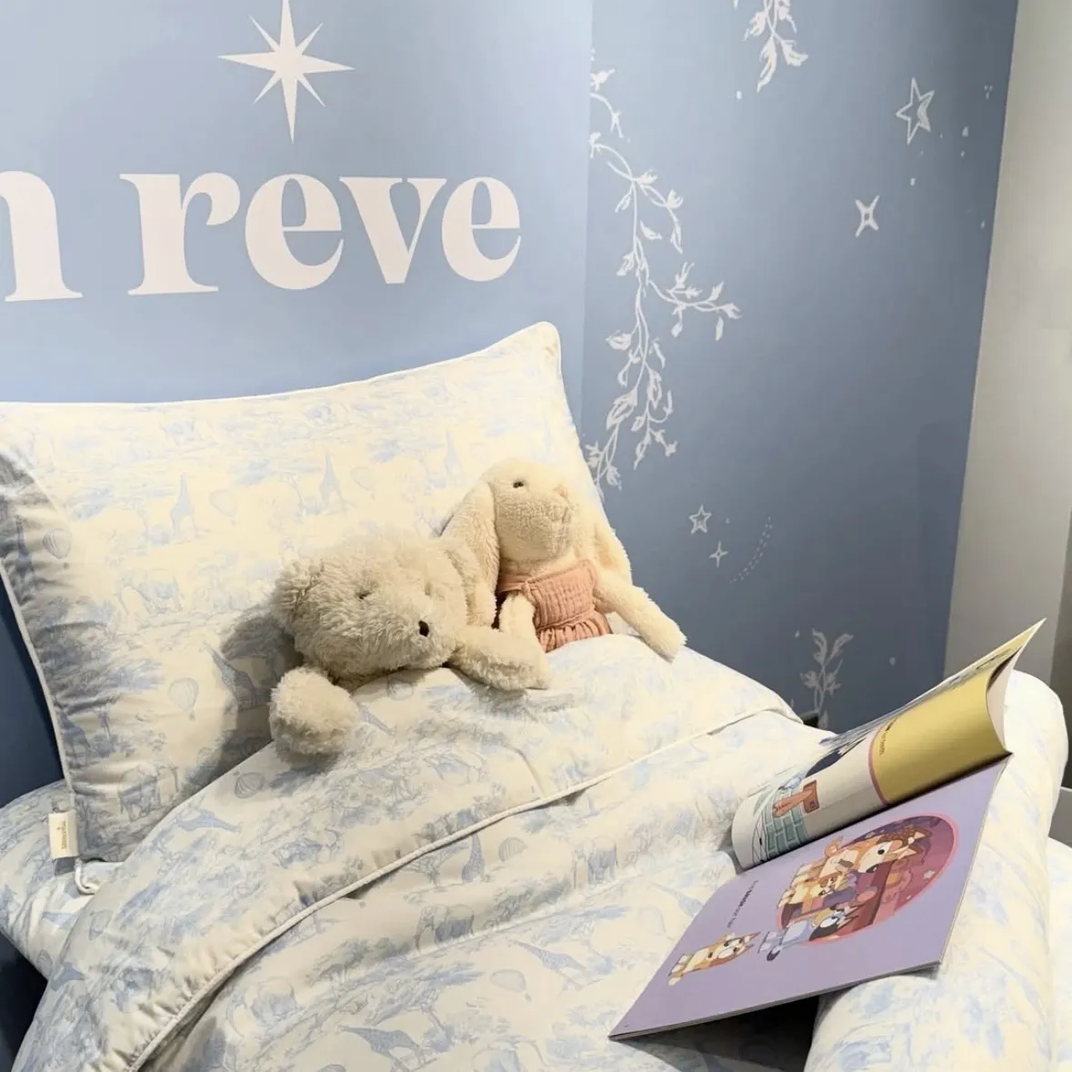 Mon reve POPUP