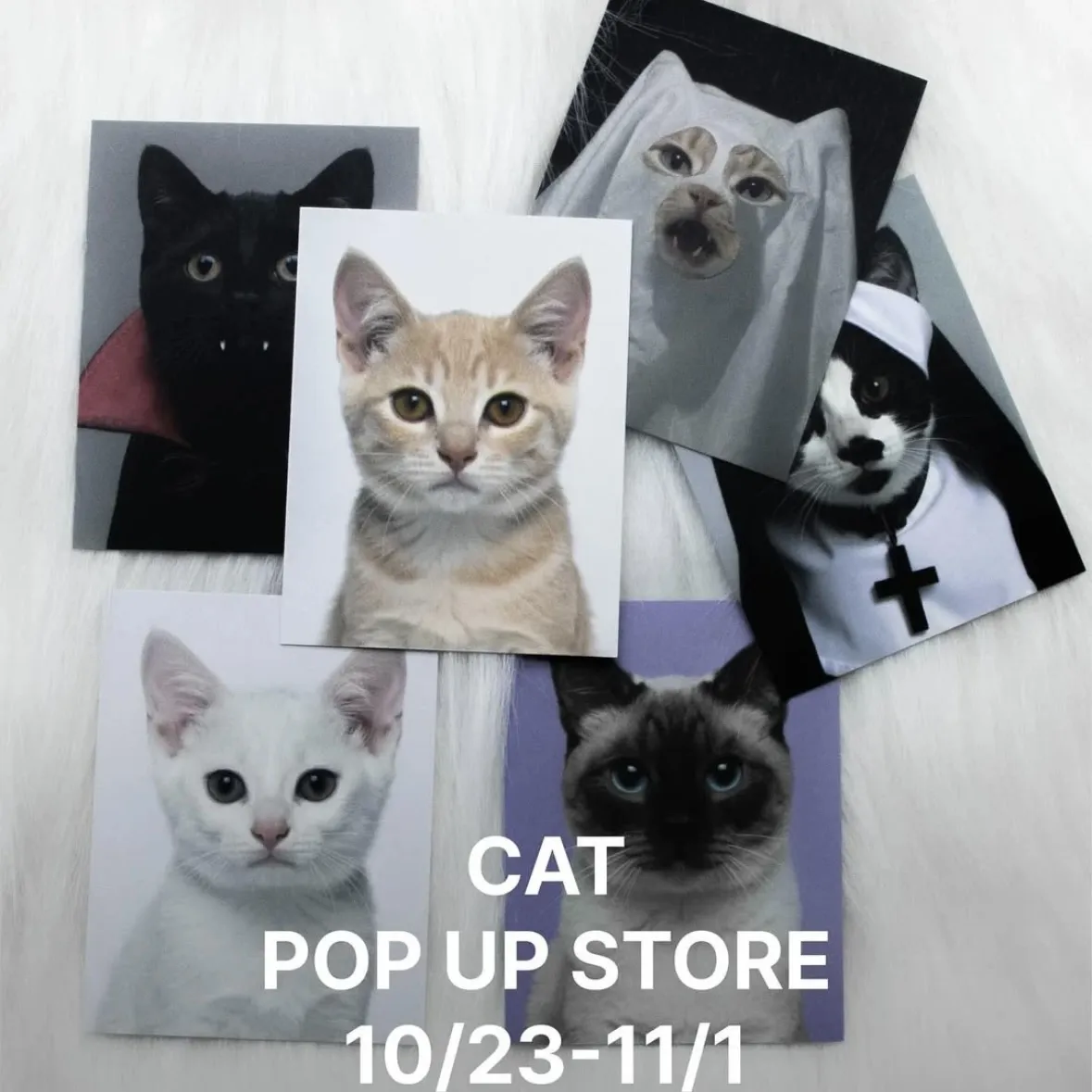 PANOPTICON CAT POPUP