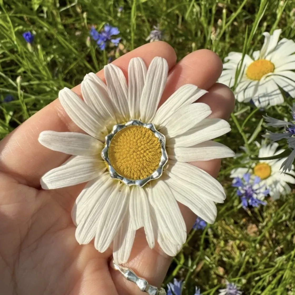 SILVER RIVER47 + ROSSOMARE POPUP