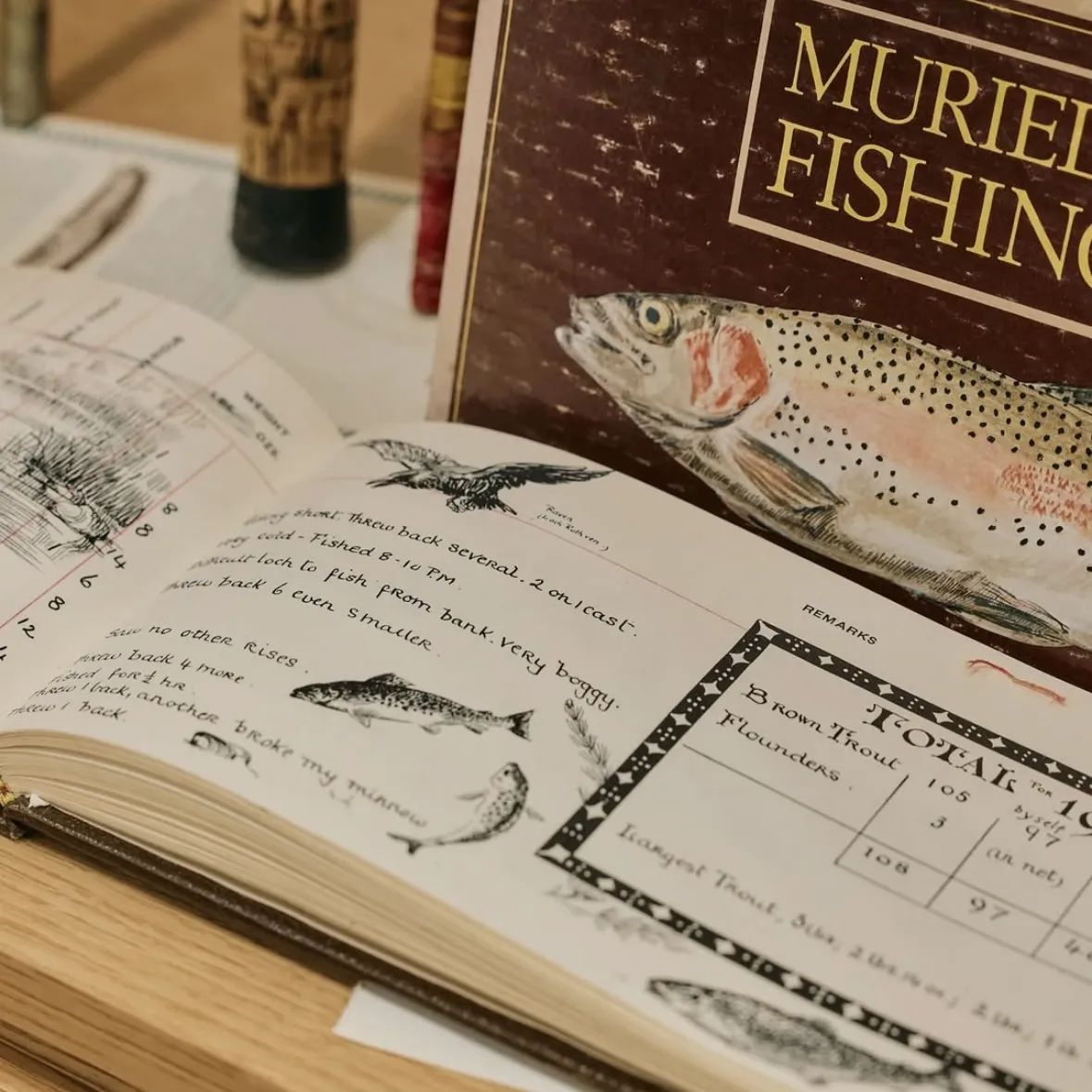 FFC x DOCUMENT POPUP