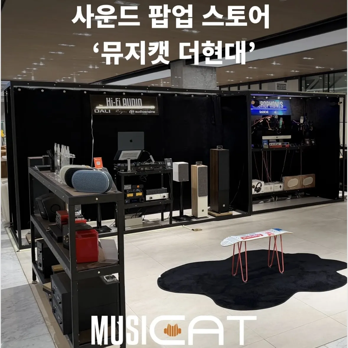 musicus x Sound cat POPUP【MUSIC CAT】