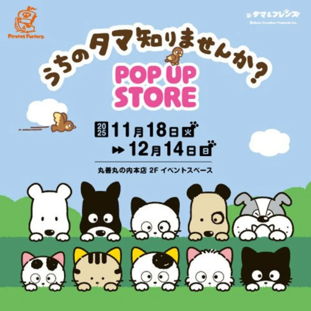 うちのタマ知りませんか？POP UP STORE