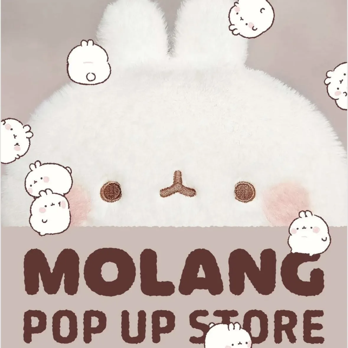 MOLANG POPUP