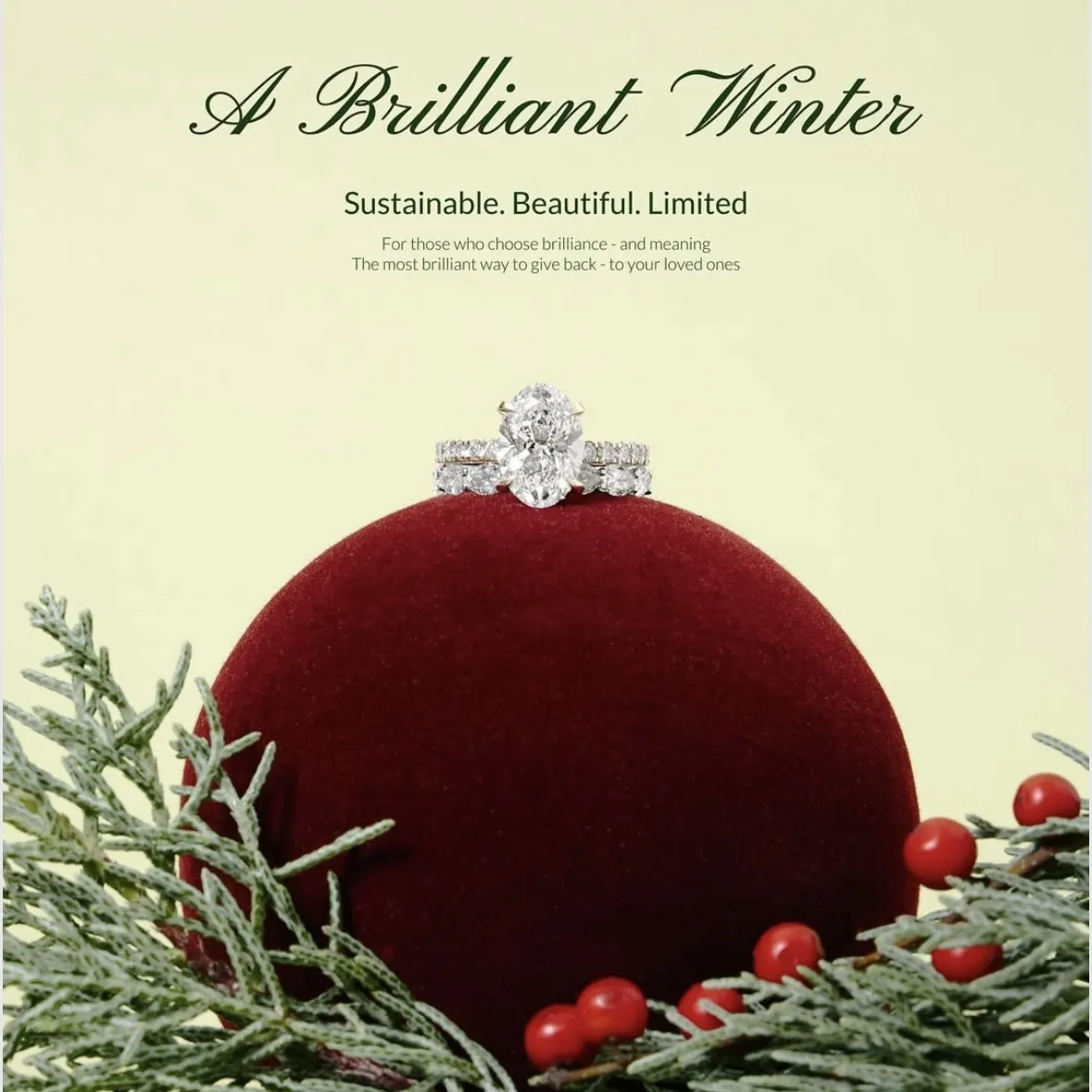 GreenDia HOLIDAY POPUP