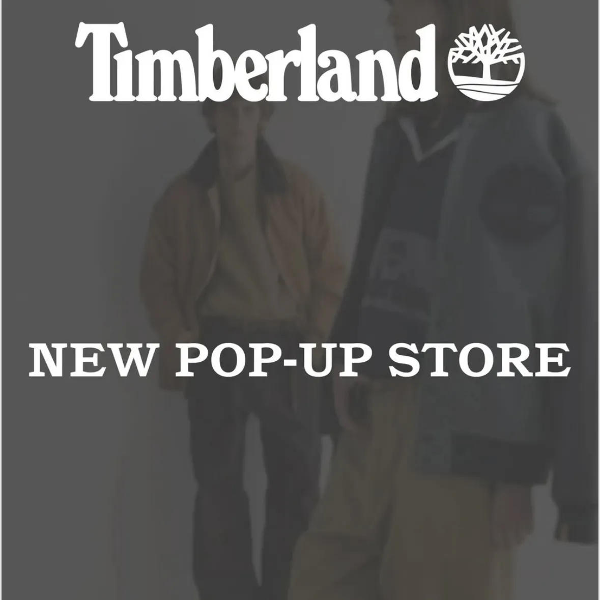 Timberland POPUP