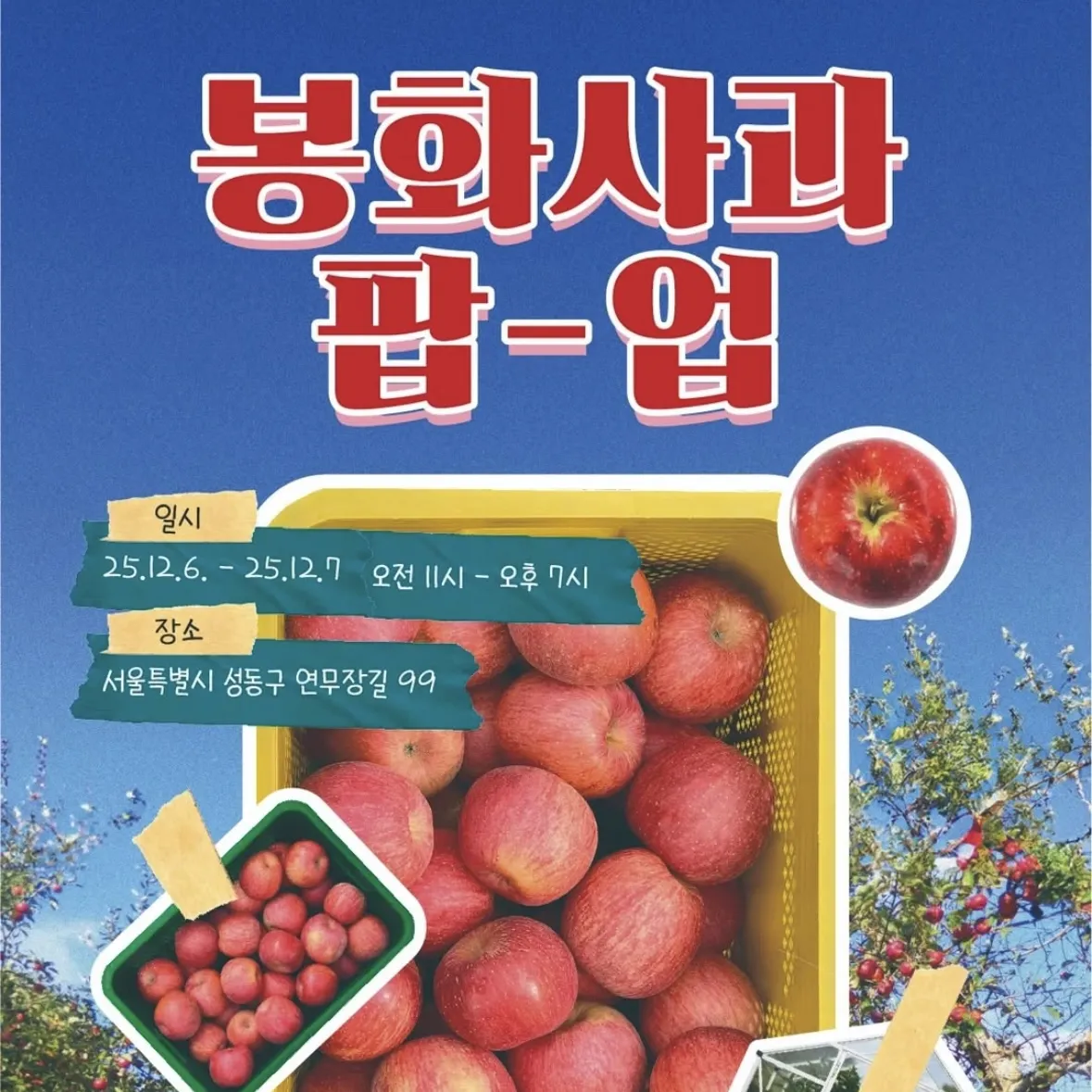 ボンファりんごPOPUP