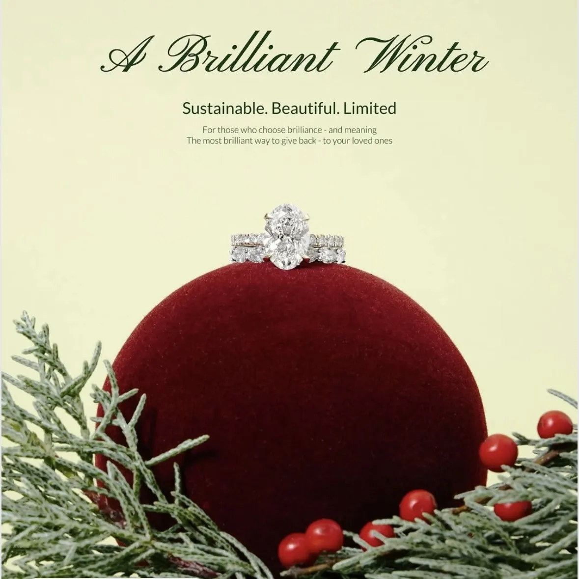 GreenDia HOLIDAY POPUP