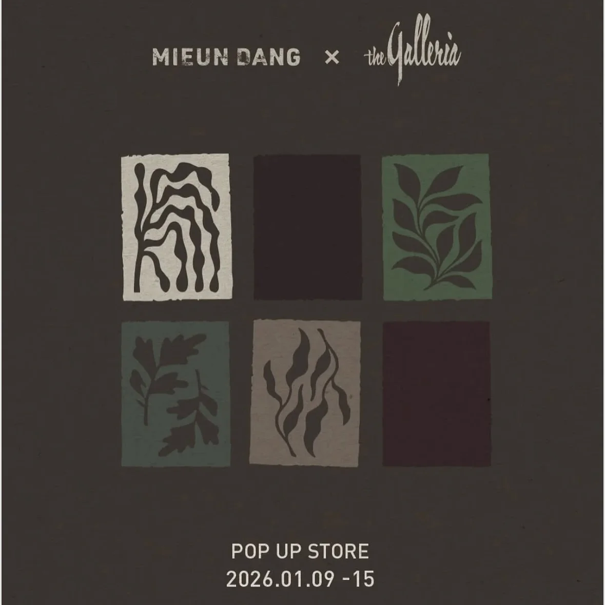 MIEUN DANG POPUP