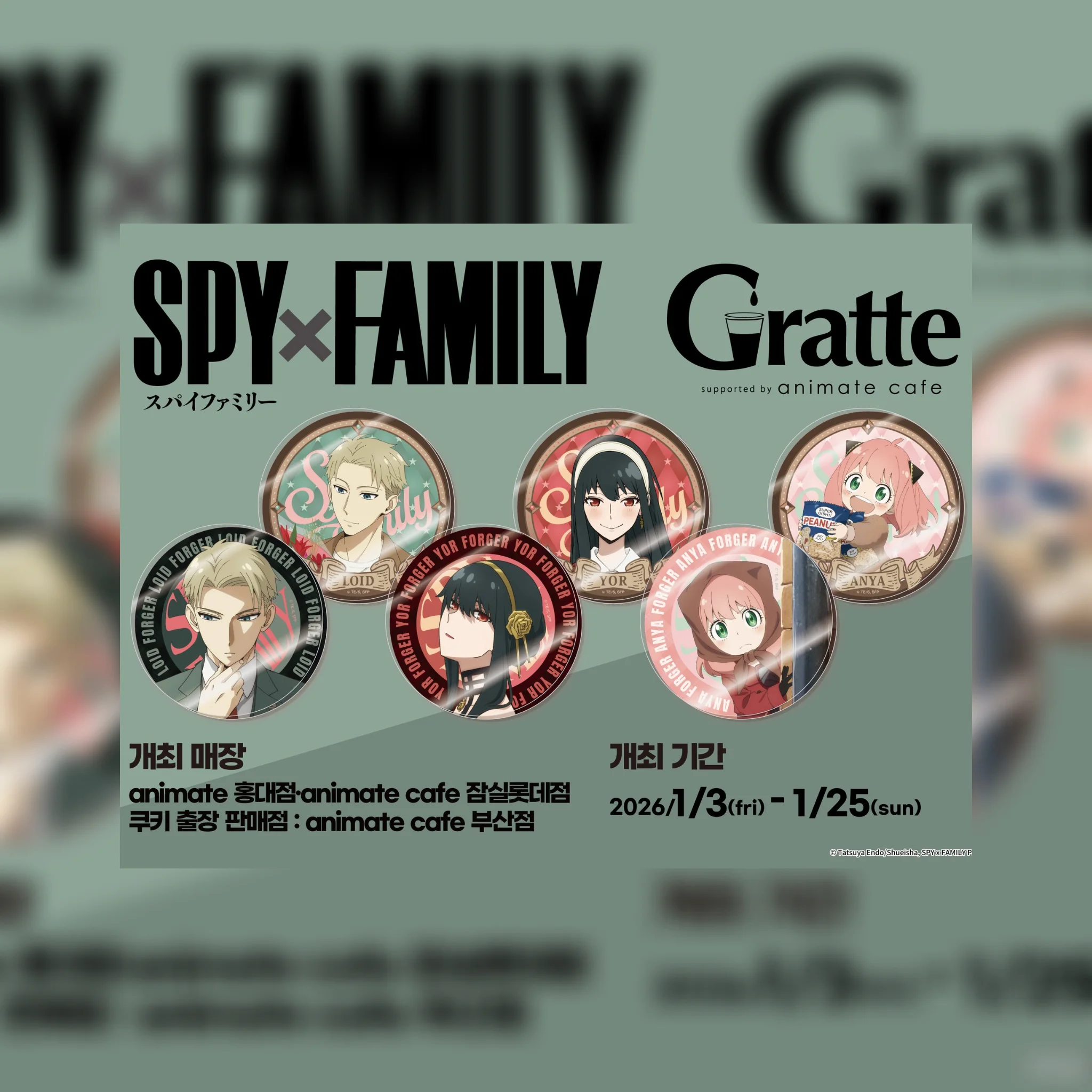 【チャムシル】SPY FAMILY コラボカフェ