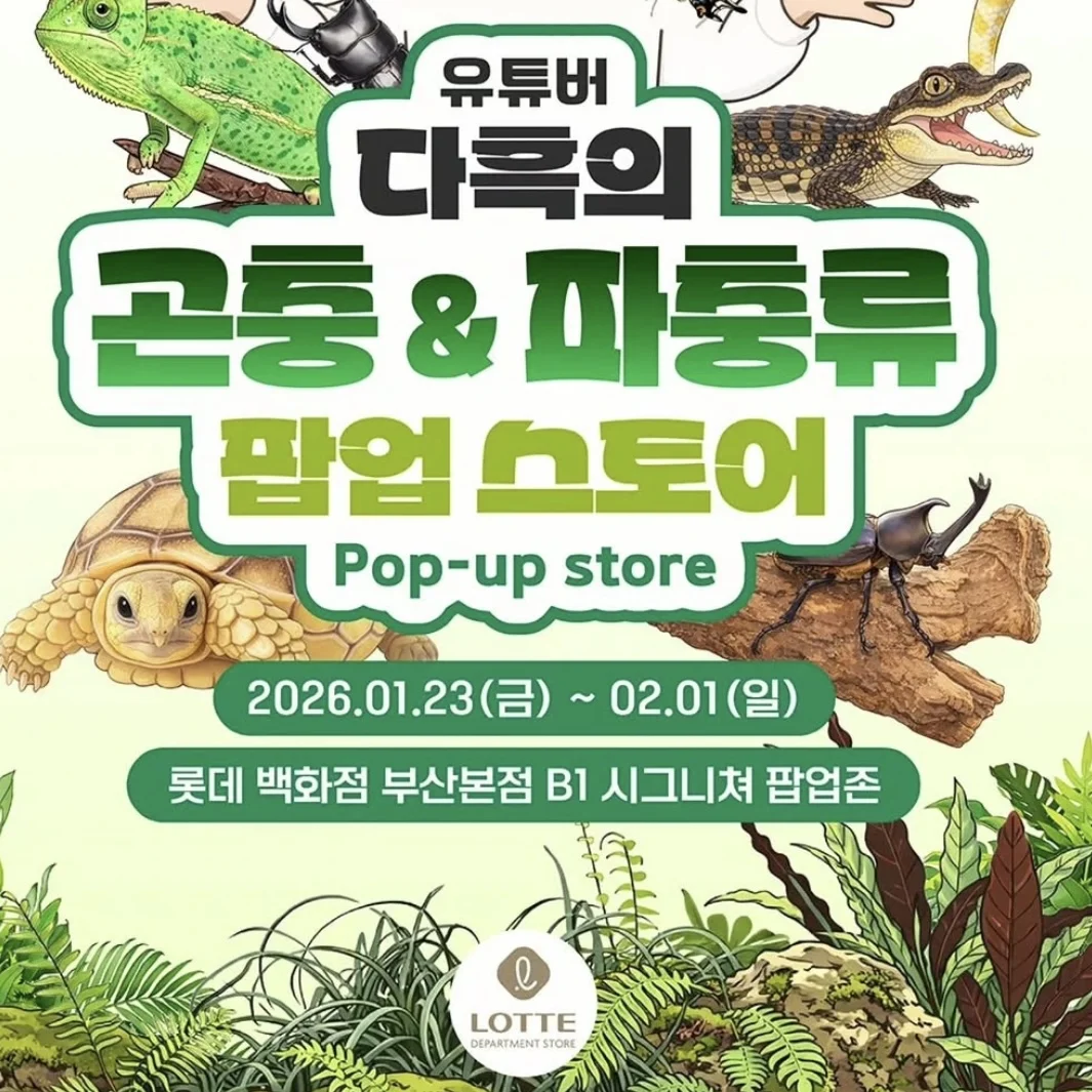 【釜山】昆虫＆爬虫類POPUP