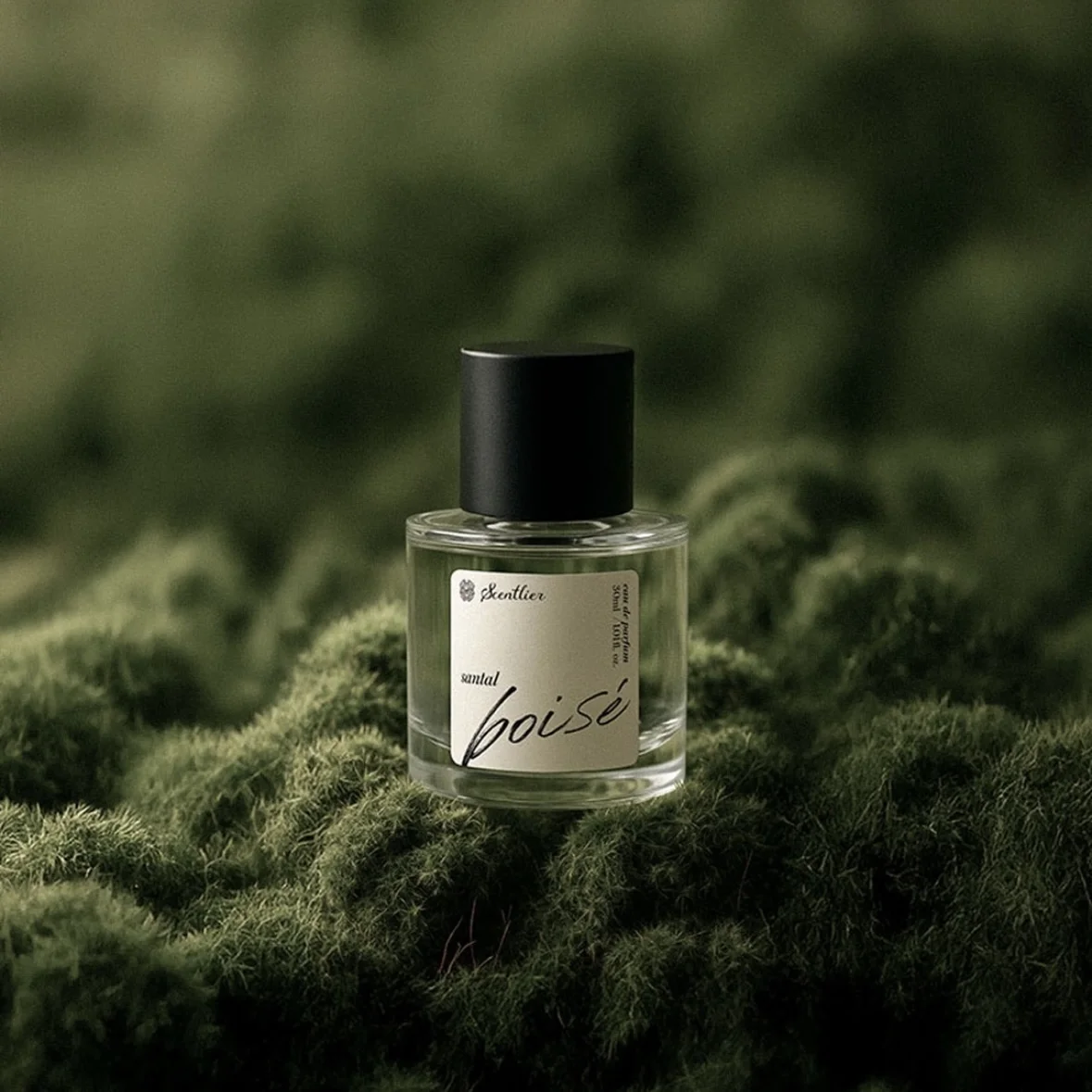 Scentlier x EQL GROVE POP-UP