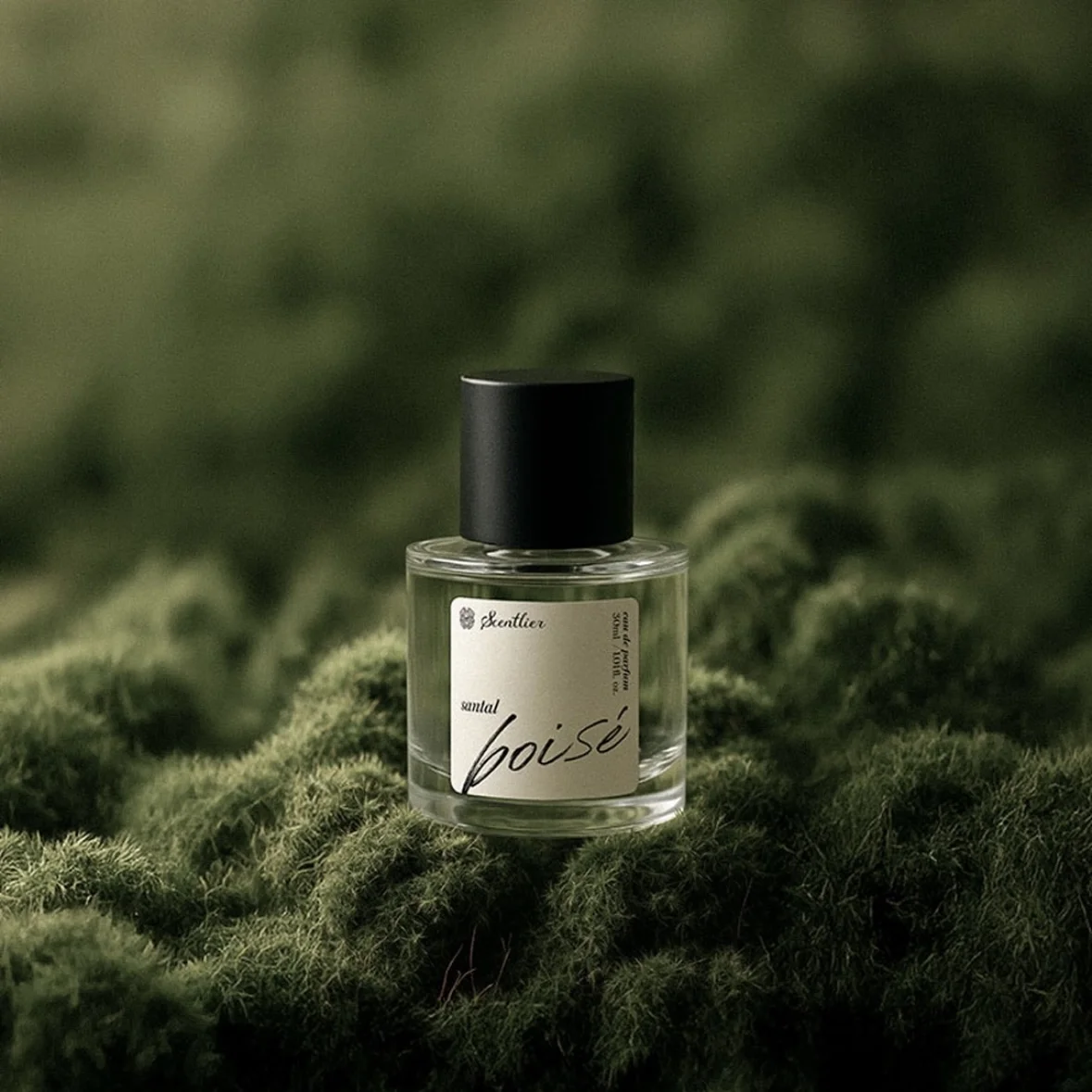 Scentlier x EQL GROVE POP-UP