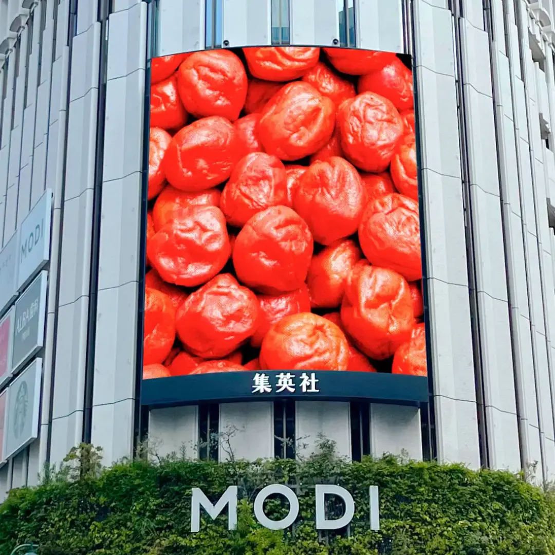 男梅 全国布教行脚 in 渋谷