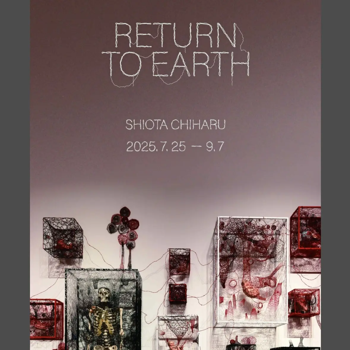 Shiota Chiharu〈Return to Earth〉展示
