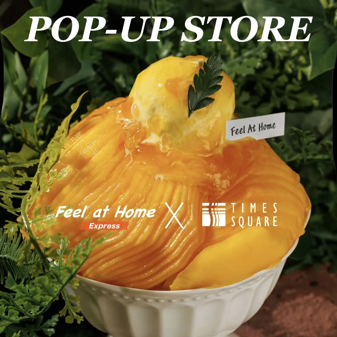 feel at home POPUP