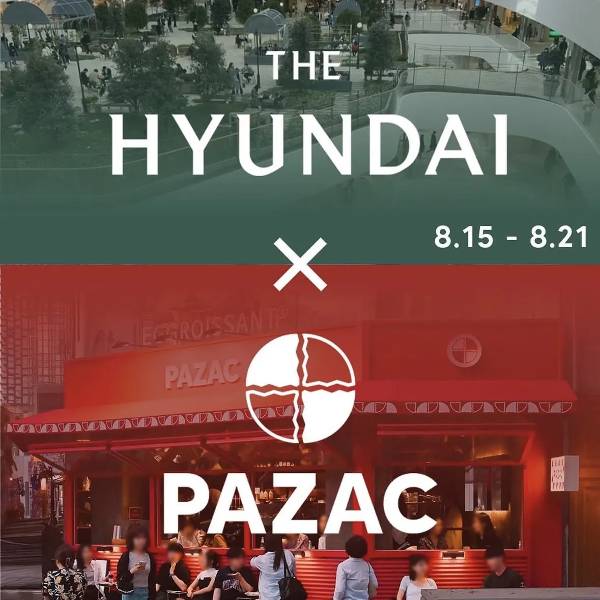 doughhouse pazac POPUP