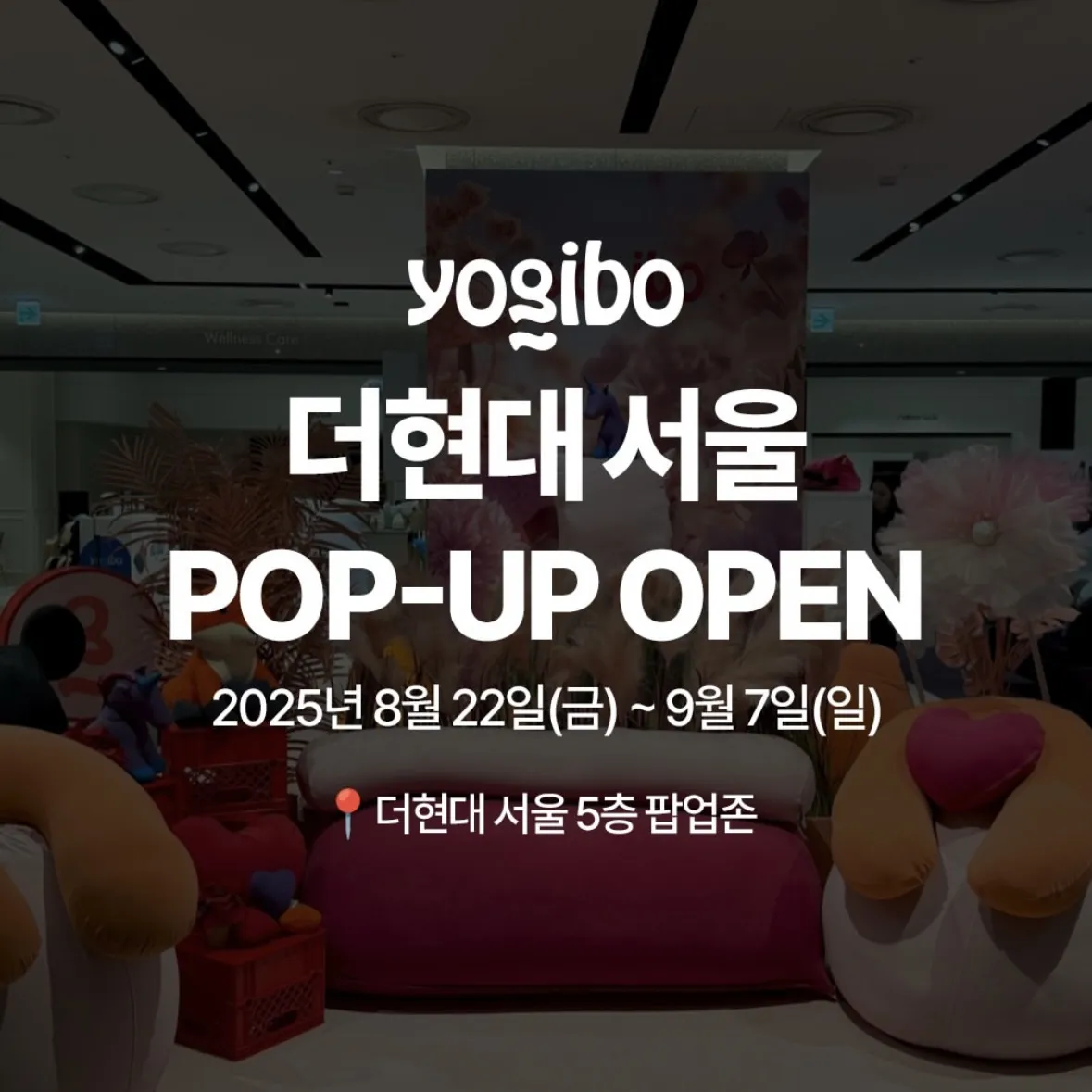 yogibo POPUP