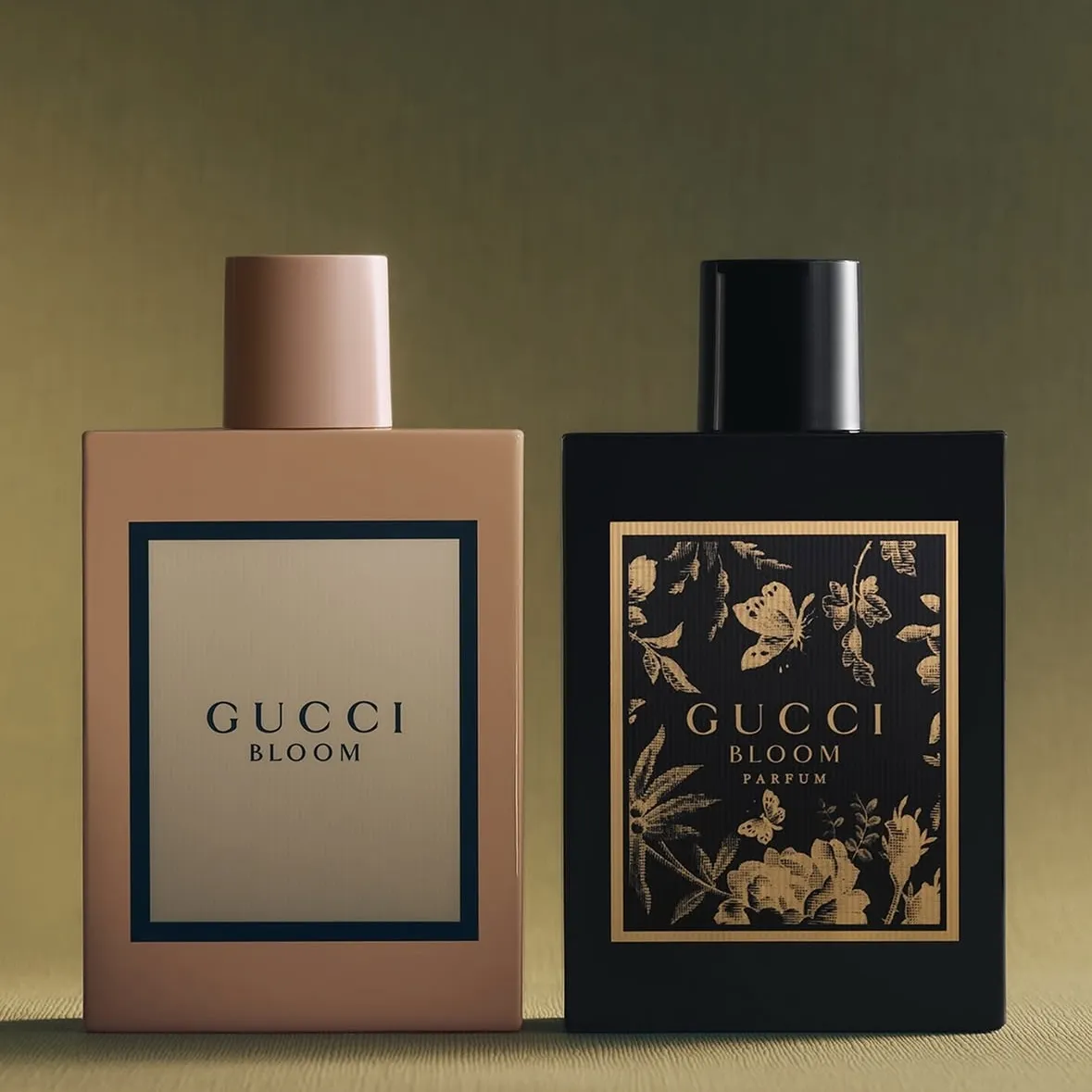 GUCCI POPUP