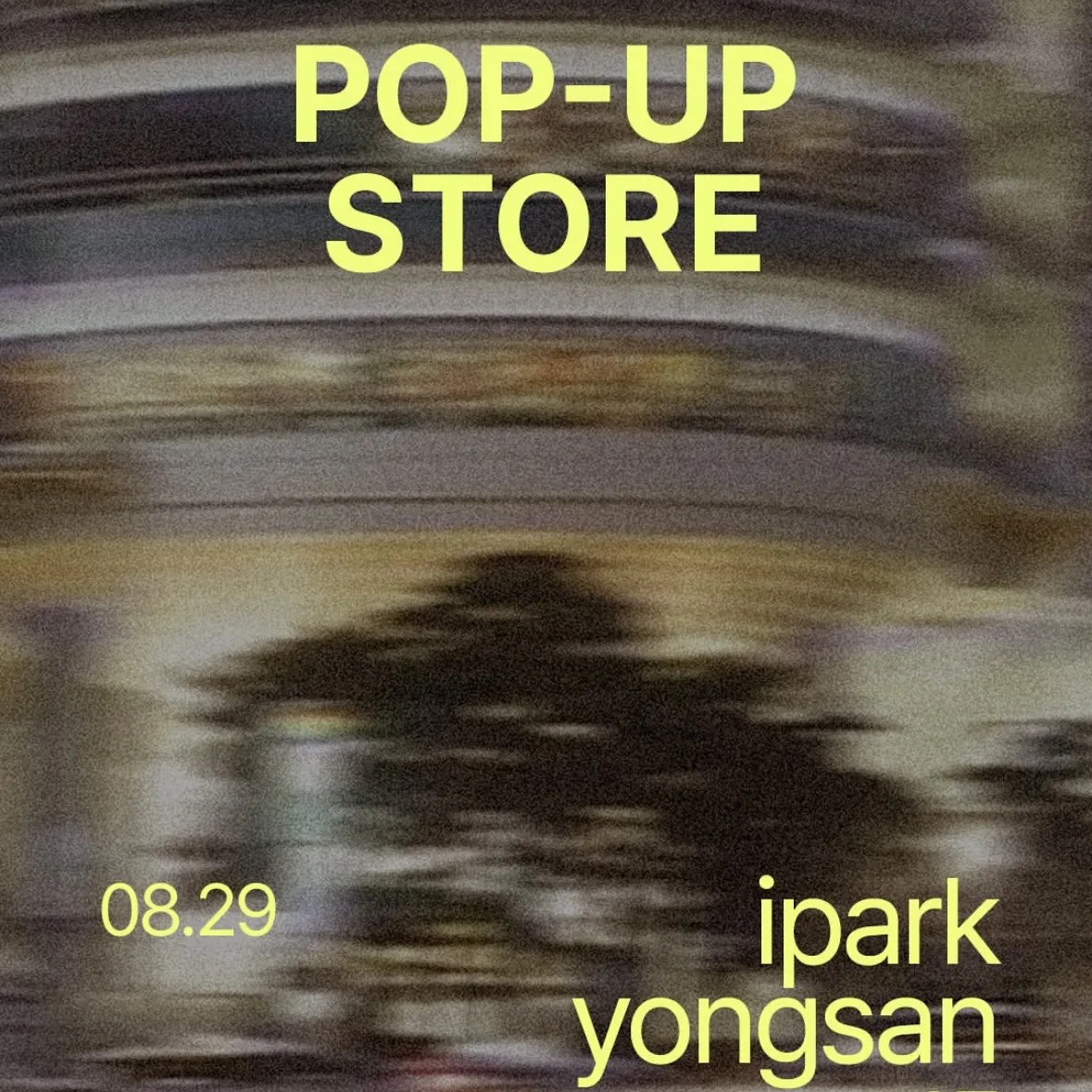 MONKEY WOOD POPUP